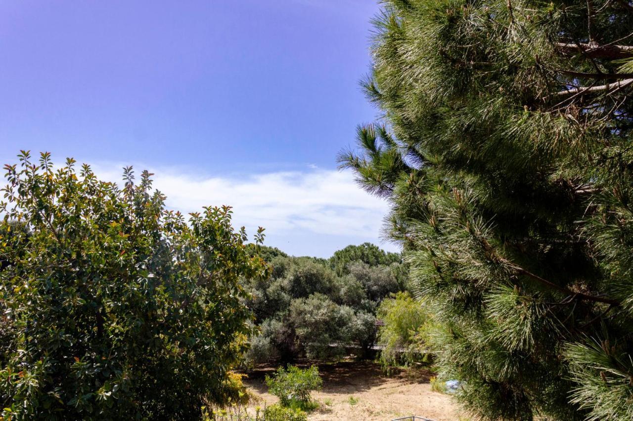 B&B Pirandello - Residence Villa Margherita 아그리젠토 외부 사진