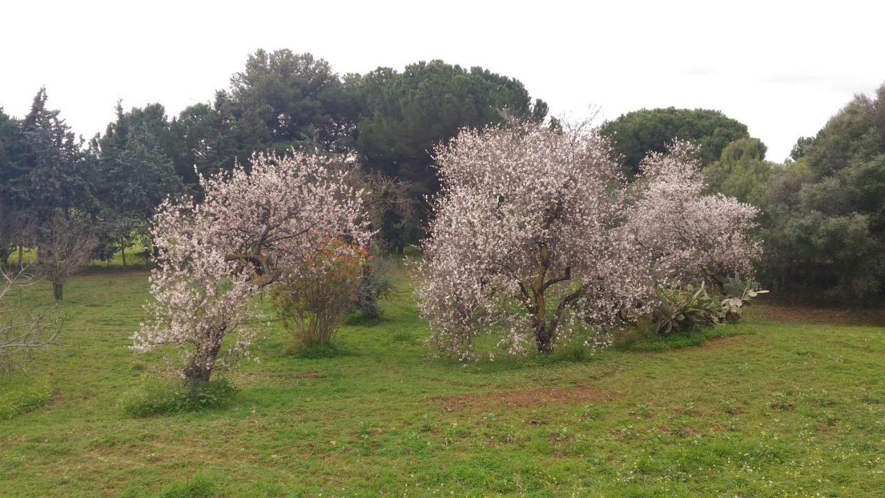 B&B Pirandello - Residence Villa Margherita 아그리젠토 외부 사진